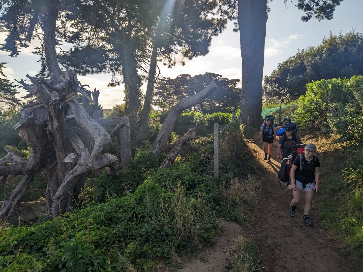 Wanderlager der Pfadis 2024